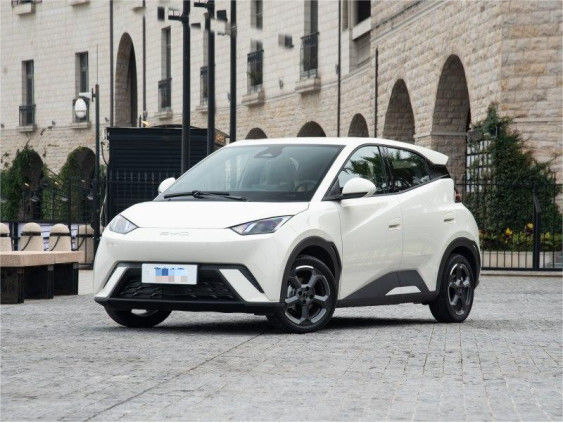 Geel Byd Seagull Hatchback Voertuig Auto Puur Elektrisch 5 zitplaatsen 2