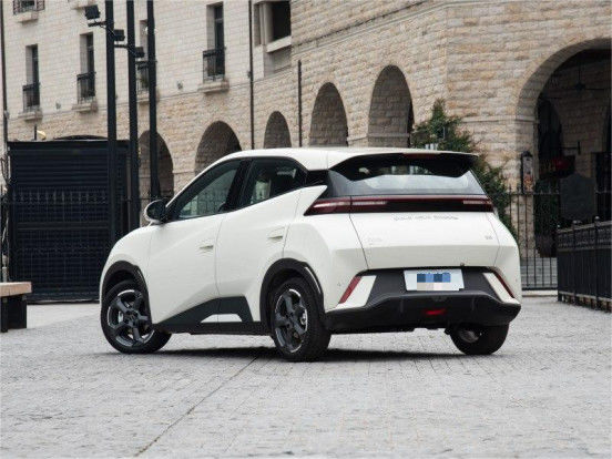 Geel Byd Seagull Hatchback Voertuig Auto Puur Elektrisch 5 zitplaatsen 1