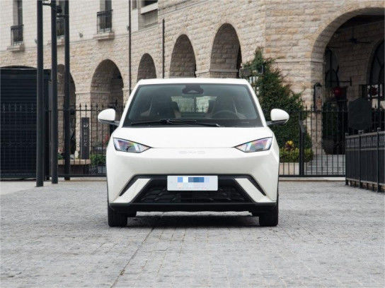 Geel Byd Seagull Hatchback Voertuig Auto Puur Elektrisch 5 zitplaatsen 0